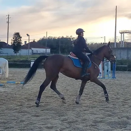 Apartamento Castelo Terrace